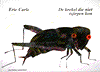 The Very Quiet Cricket